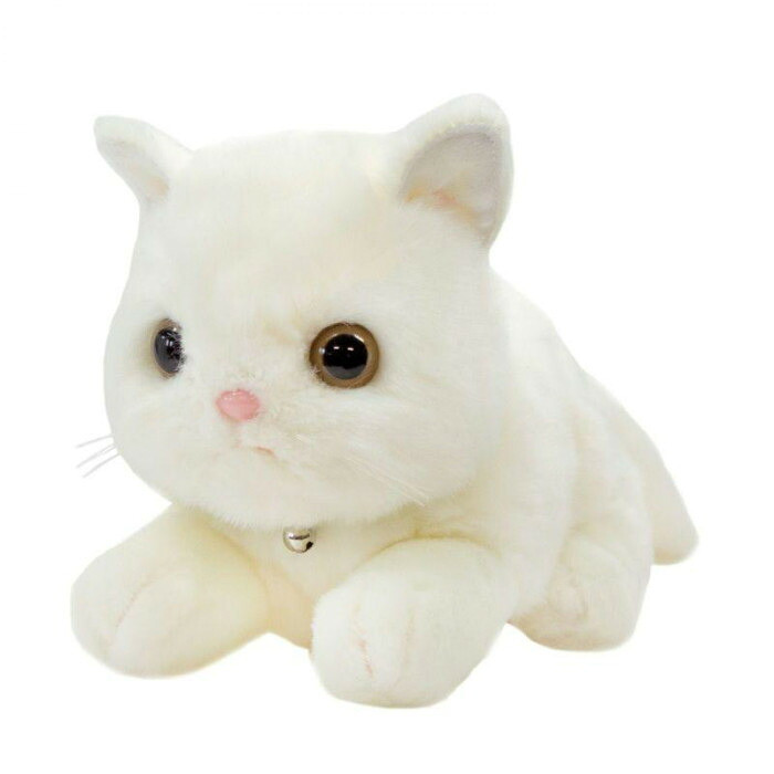 吉徳 ぬいぐるみ コネコ ホワイト 180846 こねこ 子猫 ネコ 猫 リアル 抱き枕 インテリア 雑貨 ギフト プレゼント おもちゃ 人形