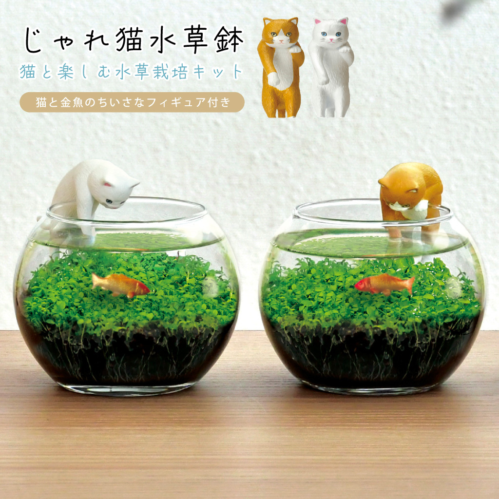 じゃれ猫水草鉢 猫と楽しむミニアクアリウム水草栽培キット 鉢付き フィギュア付き 猫 ネコ ねこ 金魚 植物 グリーン スターターセット オブジェ 置物 おしゃれ インテリア 雑貨 ギフト プレゼント 男性 女性 誕生日 母の日 父の日 敬老の日 引越し祝い 新築祝い お祝 ラッピング対応 無料ラッピング