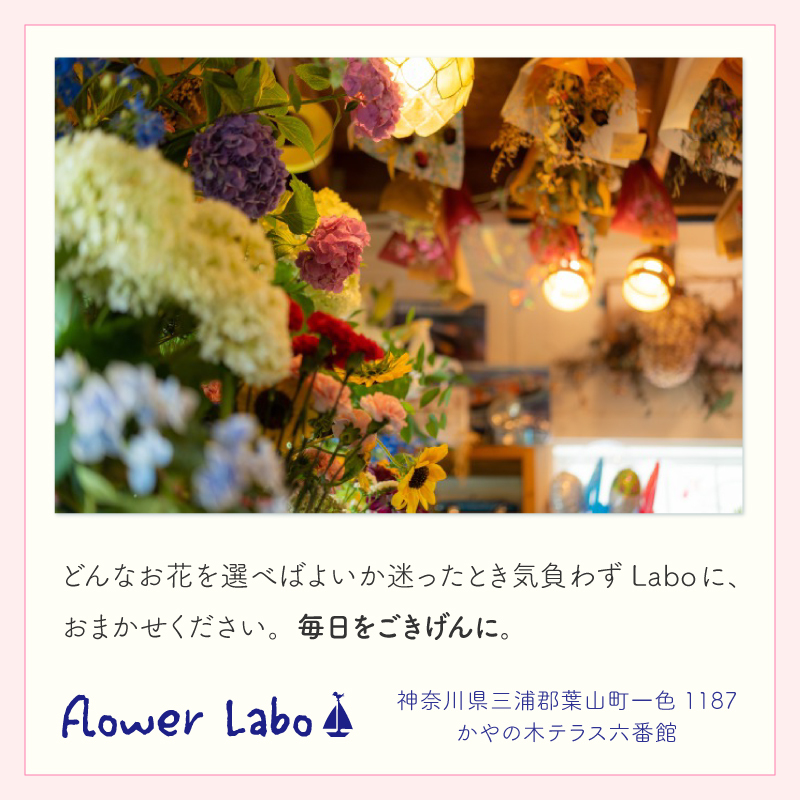 【長寿のお祝い】【年齢バルーン入り】【クール便】【Sサイズ】【送料込み】フラワーアレンジメント 慶寿 還暦 古稀 古希 喜寿 傘寿 米寿 卒寿 白寿 祝い 誕生日 お花 ギフト アレンジメント フラワー プレゼント 赤 紫 黄 白 父 母 祖父 祖母 バルーン バルーン入り