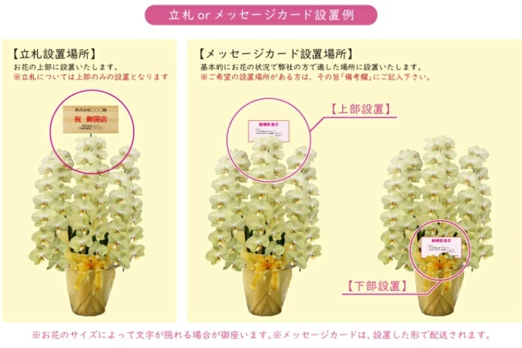 希少 胡蝶蘭 お祝い 黄色 純国産 花持ち長い 中輪5本立ち 50輪～ 35,900円【煌華(きらか)】希少 画像配信あり 胡蝶蘭ギフト 胡蝶蘭お祝い 産地直送 お祝い 贈り物 母の日 縁起物 商売繁盛 開店祝 開業祝 移転祝 当選祝 当日発送 日本橋 銀座 王立園芸協会登録商品