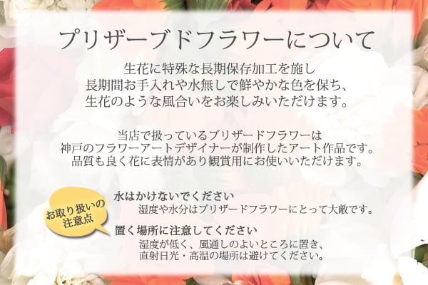 【レーザー刻印対応】【20文字まで刻印◎】ペアリング ステンレス 名入れ 指輪 リング 結婚指輪 マリッジリング アクセサリー メンズ レディース ブルー イエローゴールド インフィニティ 無限大 ジルコニア