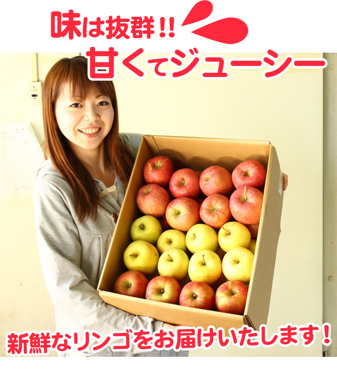 青森りんご 9kg 訳あり 送料無料 福袋 北海道産 青森産 リンゴ ※沖縄は送料別途加算 到着日指定不可