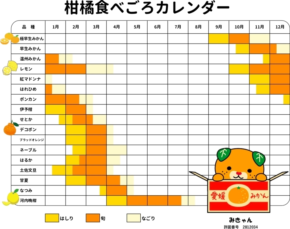 「柑橘の王様」せとかジュース 200ml 濃厚な味わい ギフト箱 愛媛県産【贅沢な果汁100％】送料無料