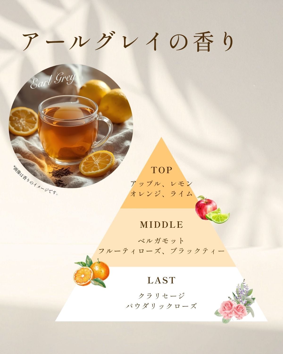ボタニカルセラムジェルパック/クラフトソープS/フォーミングネット/泡立てネット  フェイスパック 洗顔料 スキンケアセット  フェイスパック 洗顔料 スキンケアセット