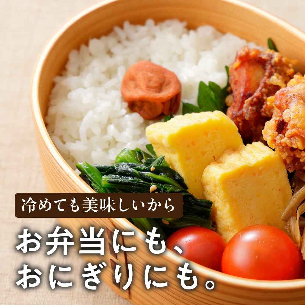 令和8年産 新米 愛媛県産 コシヒカリ【内容量が選べる5kg～30kg】雑穀米本舗 愛媛県 選べる 白米 単一原料米 送料無料 精米工場からの直送品