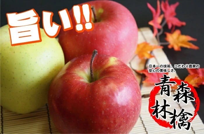 【11月中旬頃発送】蜜入りは１２月末まで　青森県認証 特別栽培農産物 ◆ 甘くておいしい！フォーシーズン 青森りんご 葉とらずサンふじ 家庭用 約１０kg箱