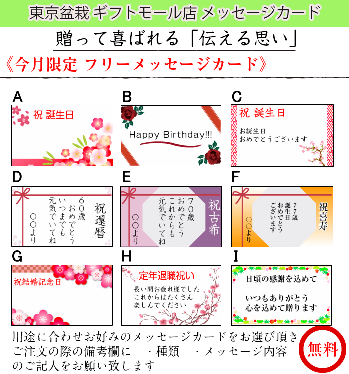 盆栽 長寿梅 ミニ盆栽 日時指定可 育て方ガイド付 無料ラッピング 長寿祈願 樹齢5年 長寿梅 紅花 【盆栽 室内 ミニ 初心者 父の日 母の日 還暦祝い 癒し 植物 引っ越し祝い 誕生日 ギフト プレゼント 敬老の日】