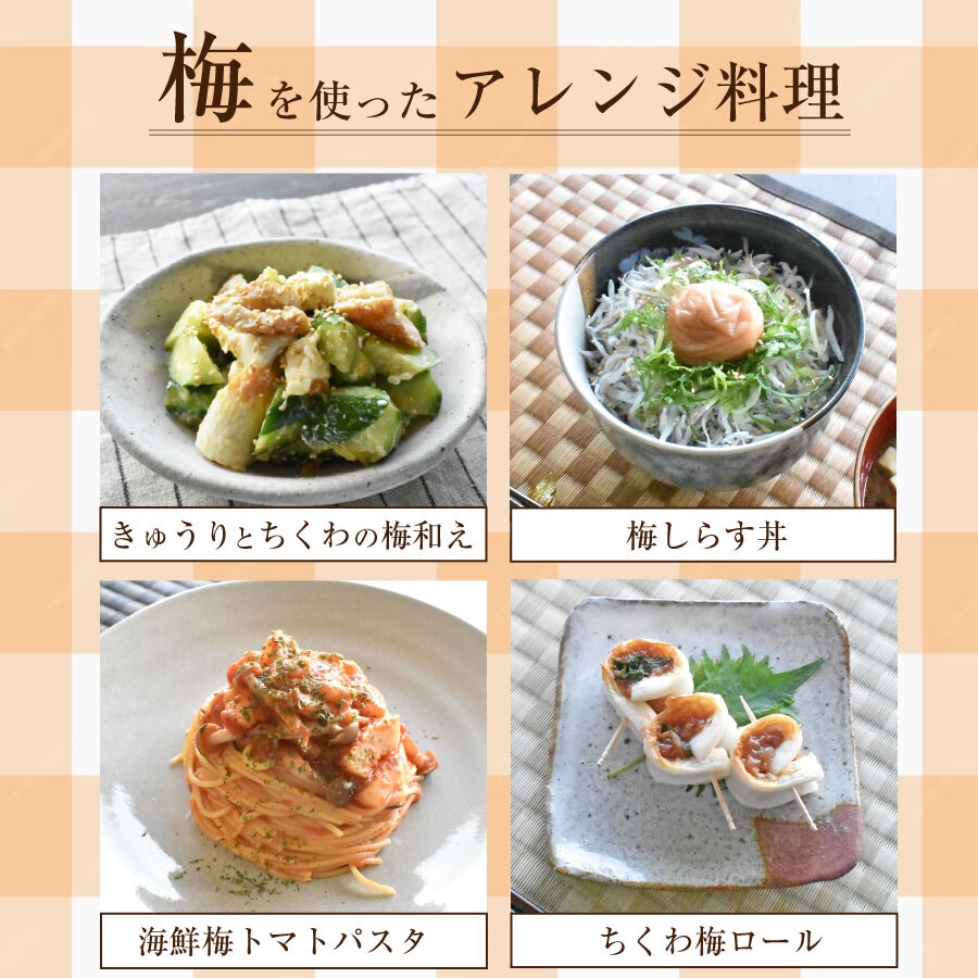 【特選紀州南高梅】【しそ漬梅250g×2パック（塩分約20％）】【無添加】しそと塩のみで漬けた昔ながらの梅干し つけもの 梅干し ギフト プレゼント 内祝