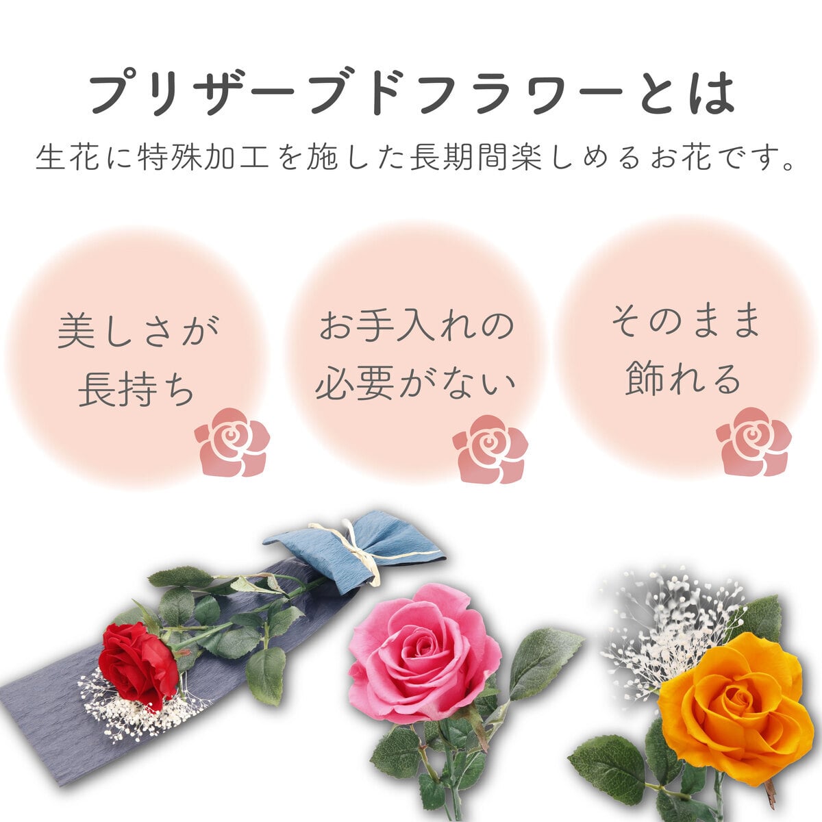 バラ 1輪 プリザーブドフラワー 花束 ブーケ 高級 薔薇 ローズ ギフト プレゼント 女性 彼女 妻 誕生日 記念日 プロポーズ 告白 結婚祝い 結婚式 電報 退職祝い 還暦祝い おしゃれ 枯れない 花
