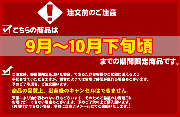 ボタンエビ 活 〆 オス 大中サイズ 1kg 秋 北海道 噴火湾産 送料無料※沖縄は送料別途加算