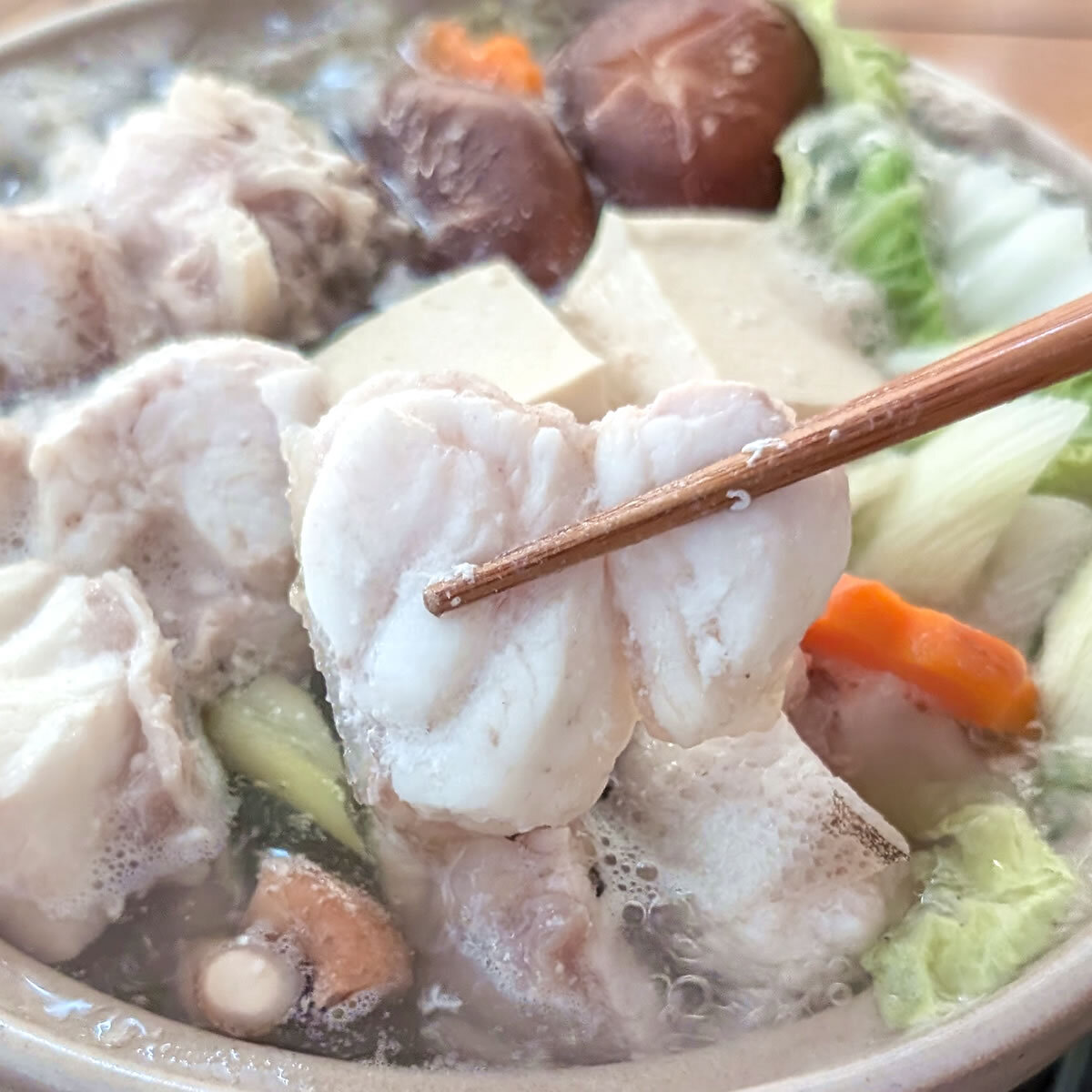 幻の高級魚　天然本クエ鍋セット（冷凍）約500ｇ（身とアラ）約2～3人前  大きなクエ使用 　送料無料　※北海道、東北、沖縄は送料別途加算 本クエ くえ 九絵 アラ クエ 魚 クエ鍋 海鮮鍋 高級魚