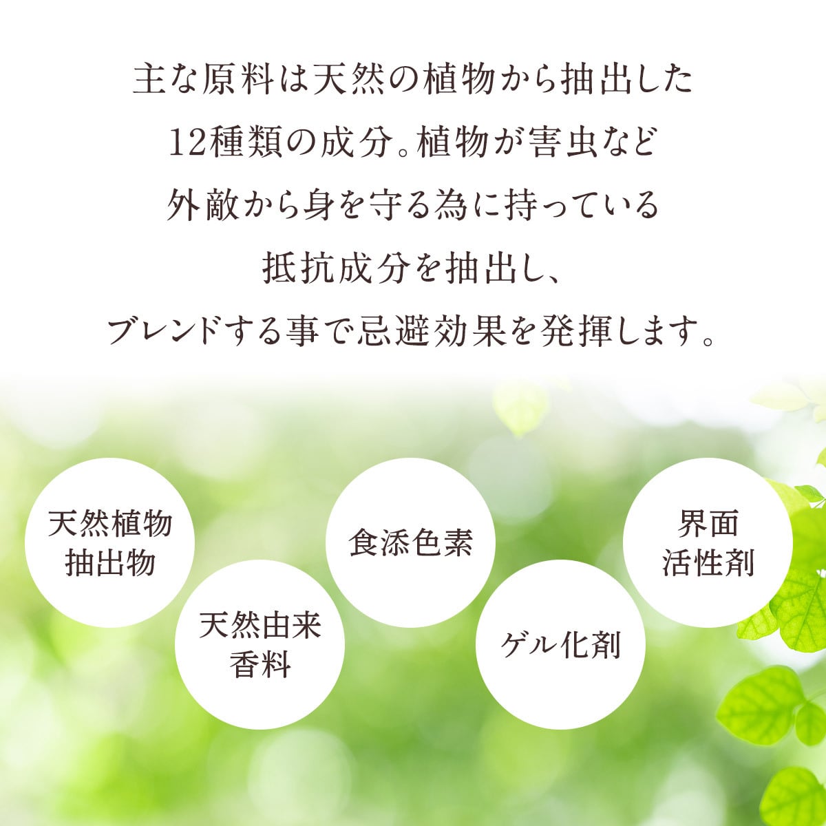 カメムシ忌避剤 カメムシシャット 単品 2個組 カメムシ対策 虫よけ 虫除け 吊るす 置くだけ ベランダ 玄関 窓際 室内 フック付き 天然成分 日本製 カメムシよけ 忌避 虫対策 玄関用 ベランダ用 窓まわり