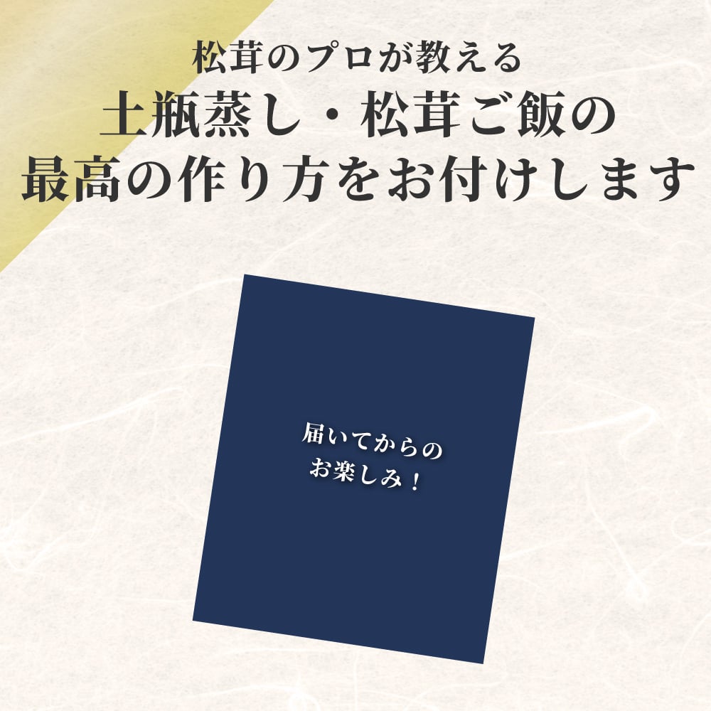 松茸の土瓶蒸しセット 贈り物 ギフト 松茸 土瓶 土瓶蒸し 生松茸 冷凍 250g 5-9cmサイズ 洗浄済み そのまま使える 土瓶蒸しや松茸ごはんがおすすめ 高級料亭 マツタケ まつたけ 秋の味覚 プレゼント お祝い お返し 高級 無農薬 無添加 中国産