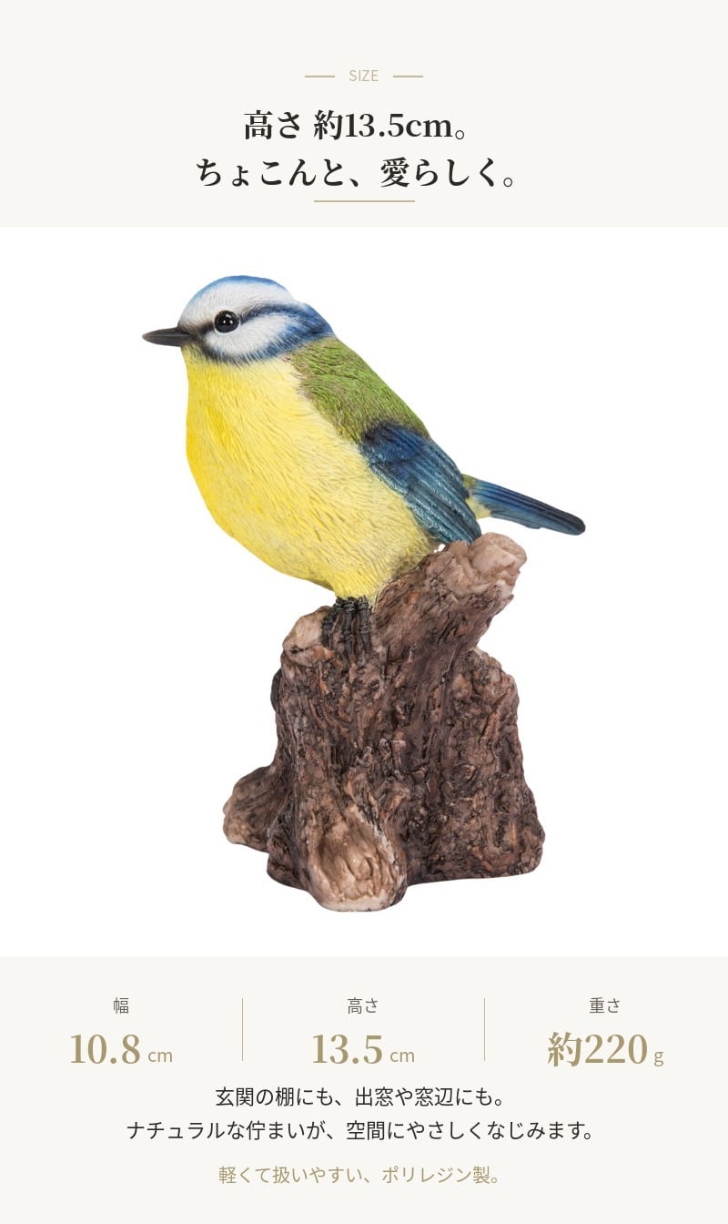 置物 鳥 青雀 高さ13.5cm woobia ウービア アオガラ 野鳥 リアル おしゃれ 玄関 インテリア オブジェ ガーデン 北欧 ナチュラル 小鳥 動物 アニマル 癒し 鳥好き 出窓 棚 プレゼント ギフト バードウォッチング