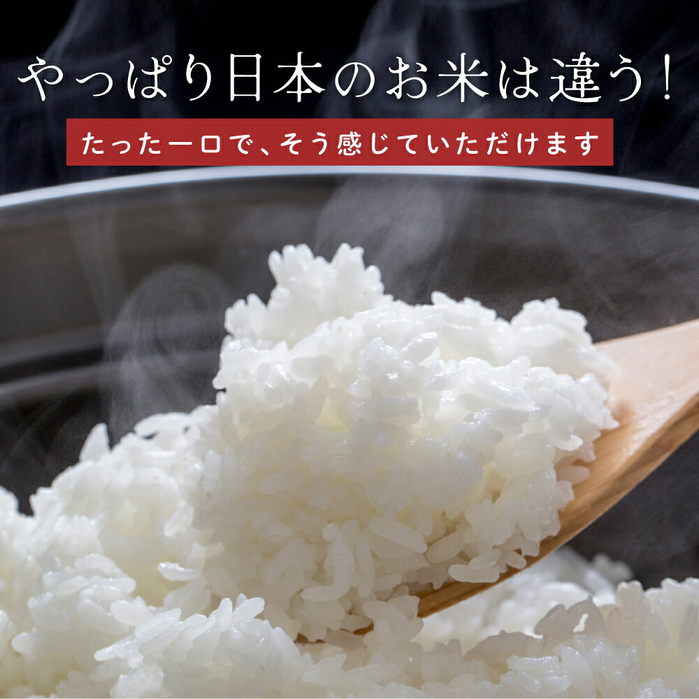 富山県産 コシヒカリ【内容量が選べる5kg~30kg】雑穀米本舗  富山県 選べる 白米  令和8年産 単一原料米 送料無料 精米工場からの直送品