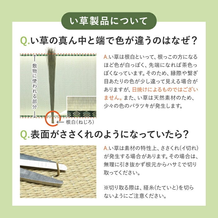 夏ラグ 夏用カーペット い草ラグ 12mmウレタン い草 ラグ 井草ラグ いぐさラグ 敷物 夏 夏用 夏用ラグ 大きい 大きめ イグサ ウレタン入り ふっくら 防音 裏張り付き 裏面不織布 折りたたみ おしゃれ ナチュラル アジアン グリーン ベージュ