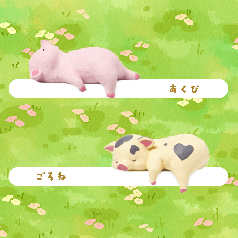 【5種類セット】 ガチャ ガチャガチャ コンプリート 中身 フィギュア おもちゃ かわいい [ ふちやすみ こぶた ] 動物 子ブタ 子豚 豚