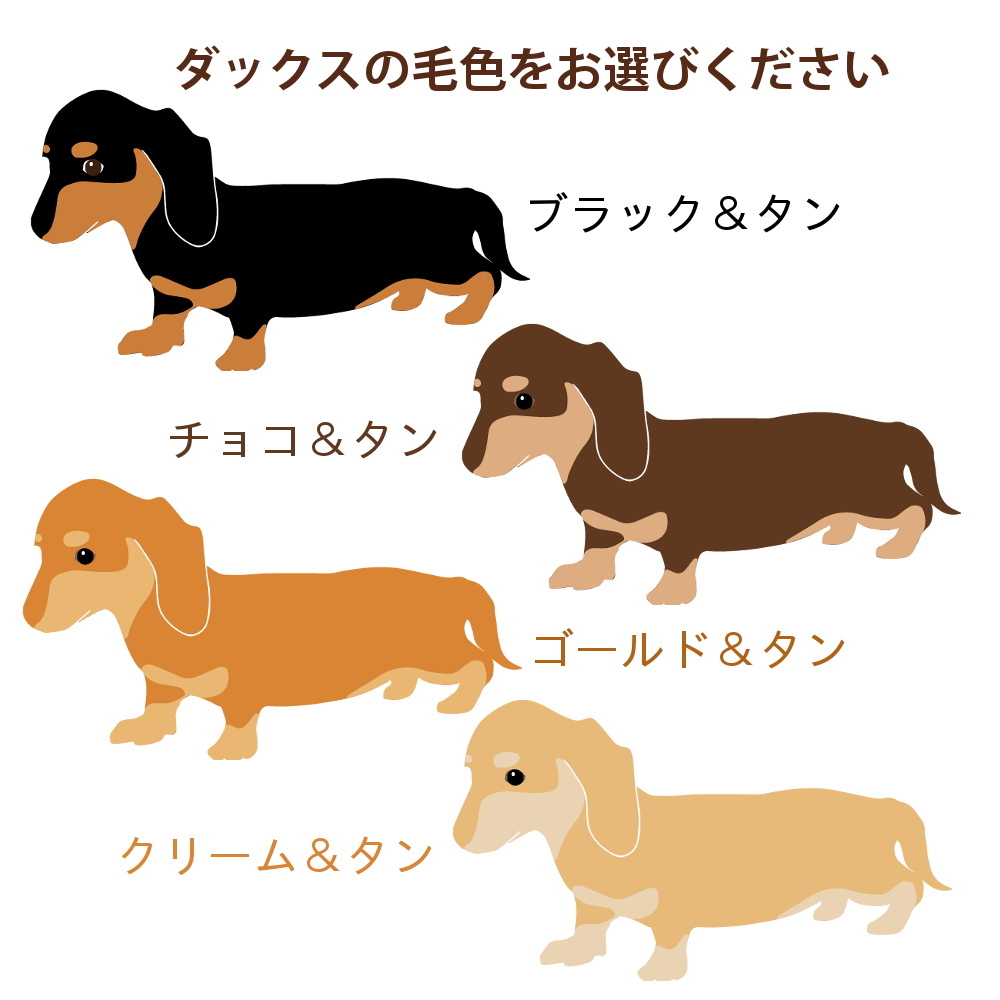 ダックスフンド かわいい 取っ手付き マグボトル おしゃれ 290ml 保温 保冷 ステンレス 真空 断熱 二重構造 ボトル タンブラー 水筒 マイボトル オリジナル ミニチュアダックス カニヘンダックス 犬 ペット 動物 アニマル