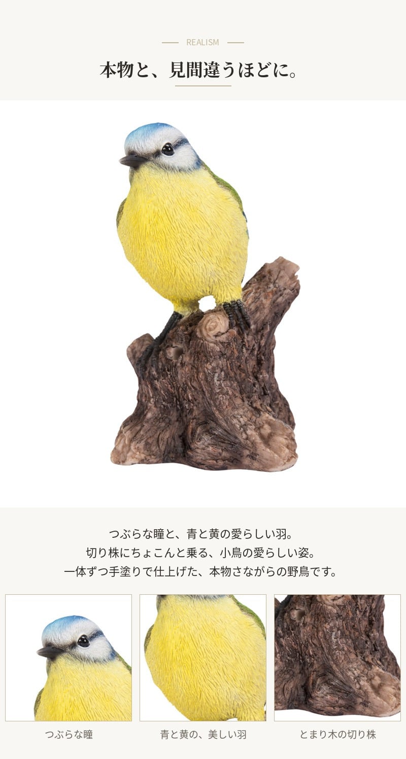 置物 鳥 青雀 高さ13.5cm woobia ウービア アオガラ 野鳥 リアル おしゃれ 玄関 インテリア オブジェ ガーデン 北欧 ナチュラル 小鳥 動物 アニマル 癒し 鳥好き 出窓 棚 プレゼント ギフト バードウォッチング