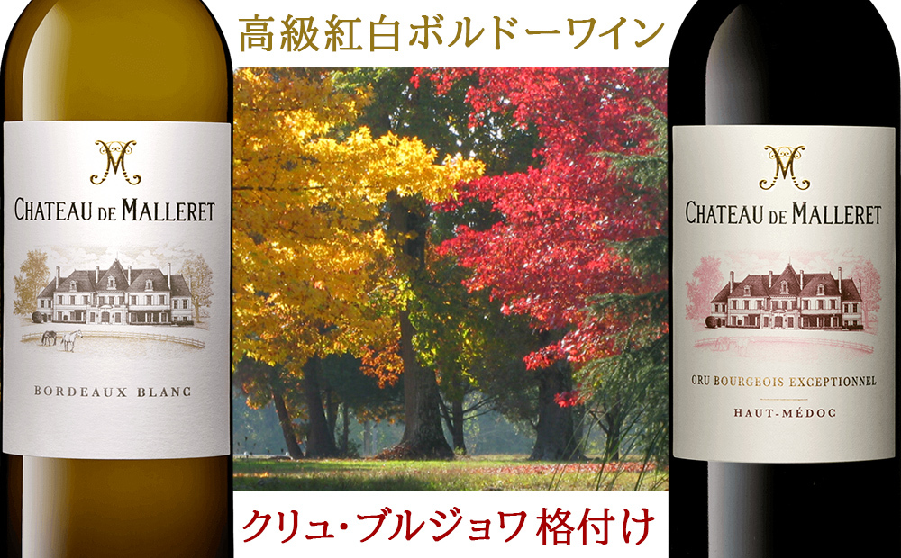 高級ワイン フランス BORDEAUX ボルドー 飲み比べセット赤ワイン 白ワイン 2本 紅白ワイン フランス オー・メドック クリュ・ブルジョワ・エクセプショネル 750ml 2本 贈り物 プレゼント 熨斗包装 ギフト箱付 お祝い 会社 上司 送料無料