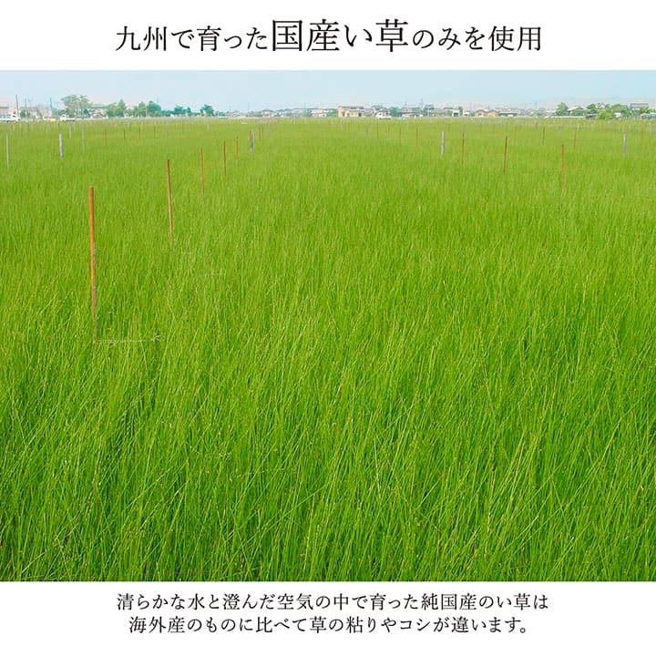 夏ラグ 夏用カーペット ラグ 国産 純国産 日本製 い草 モダン 抗菌防臭 自然素材 約191×250cm