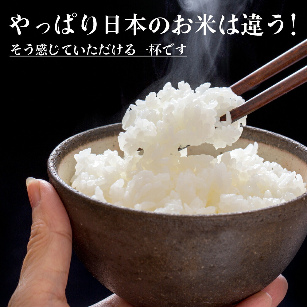 三重県産 コシヒカリ【内容量が選べる10kg~30kg】こしひかり 令和8年産 単一原料米 白米 精米 精白米 送料無料 精米工場からの直送品