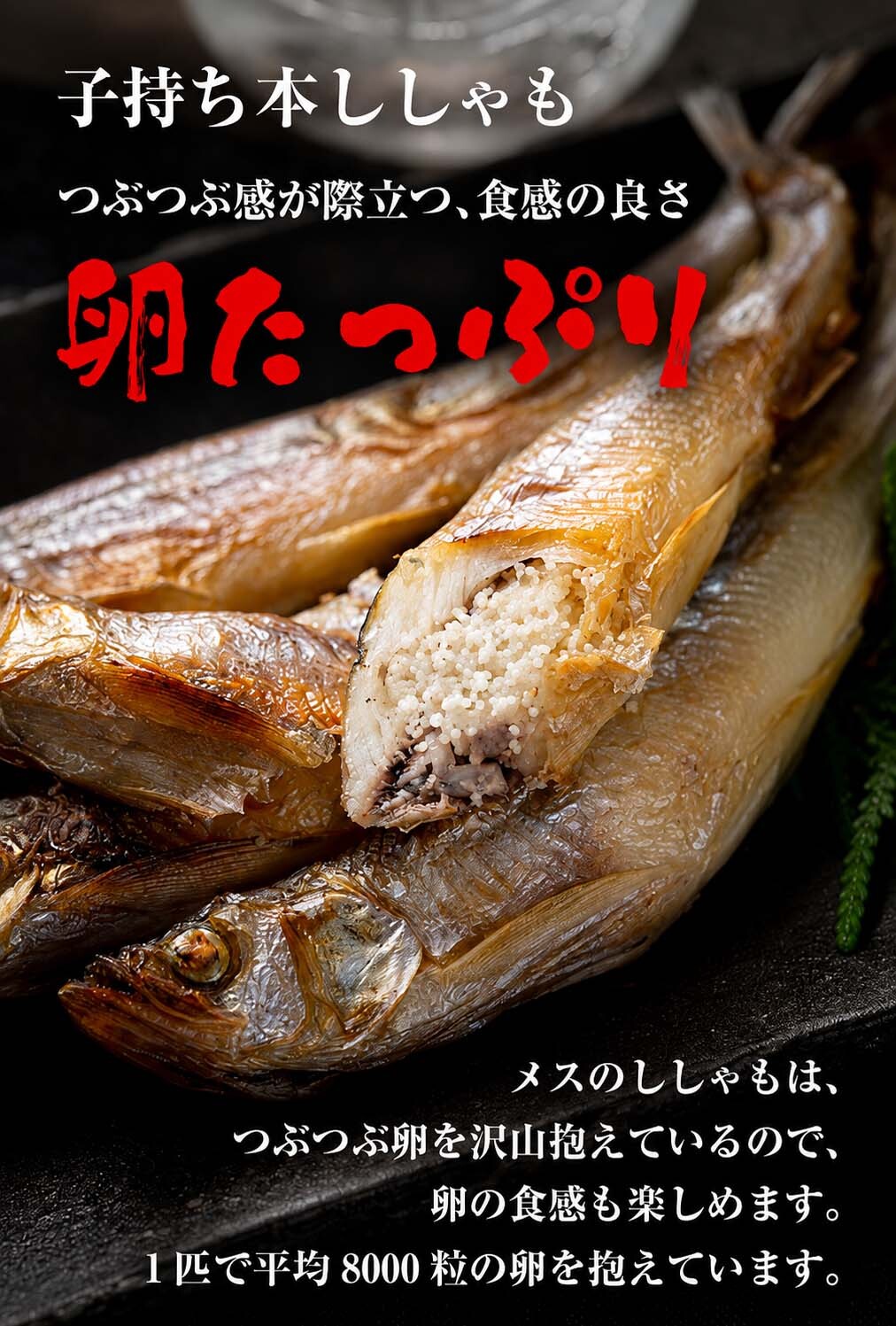 子持ち 本シシャモ　30尾入り　（中サイズ）　北海道鵡川・広尾・厚賀・釧路産 ししゃも 脂のりも良く、ご飯のおかずに最適 干物 柳葉魚 干し魚 ぷちぷち卵の食感も味わえます 焼き魚