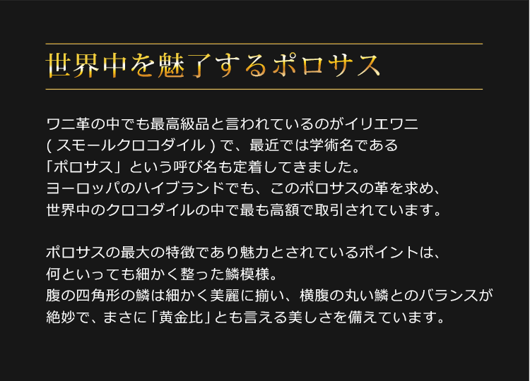 ヒマラヤ スモール クロコダイル 日本製 ハンドバッグ レディース センター取り JRA 両開ファスナー ポロサス 本革 大きめ 安心 保証書 付き レディースバッグ レディースバック ギフト プレゼント 4FA (06001494r)