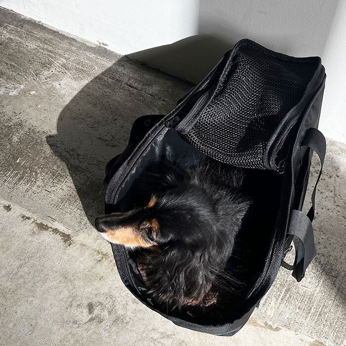 ペット キャリーバッグ 通販 PUFF 犬用キャリーケース 猫用キャリーバッグ トートキャリー ボストンキャリー ショルダーキャリー 小型犬用キャリー 超小型犬キャリー お出かけ ペットキャリーバック dog bag おしゃれ シンプル 中型犬 ペットバッグ