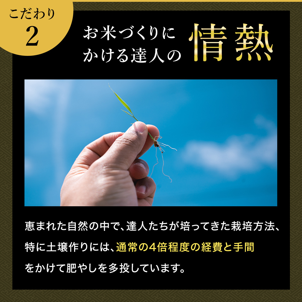 令和8年産 新米 魚沼産コシヒカリ 2kg 贈答用 風呂敷包み 最高級 最高金賞 金賞受賞 「雪椿」 ブランド米 ミシュラン店御用達 贈答用 新潟県産 令和6年産 最高級米 特別栽培米 お米 ギフト 内祝い 御歳暮 結婚内祝い 御誕生日御祝 新築祝い 法事 のし 熨斗対応 希少米