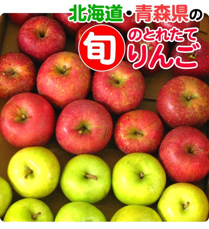 青森りんご 9kg 訳あり 送料無料 福袋 北海道産 青森産 リンゴ ※沖縄は送料別途加算 到着日指定不可