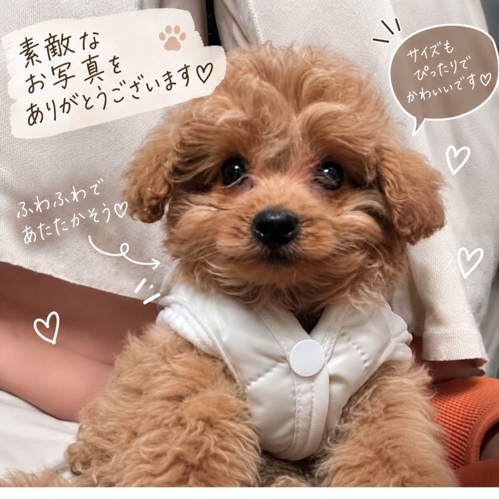 犬服 秋冬 犬用ベスト 防寒着 キルティング ボア 裏起毛 あったか ドッグウェア 小型犬 ペット服 袖なし スナップボタン 着脱簡単 おしゃれ かわいい 秋冬服 アイボリー カーキ S M L XL XXL コピー