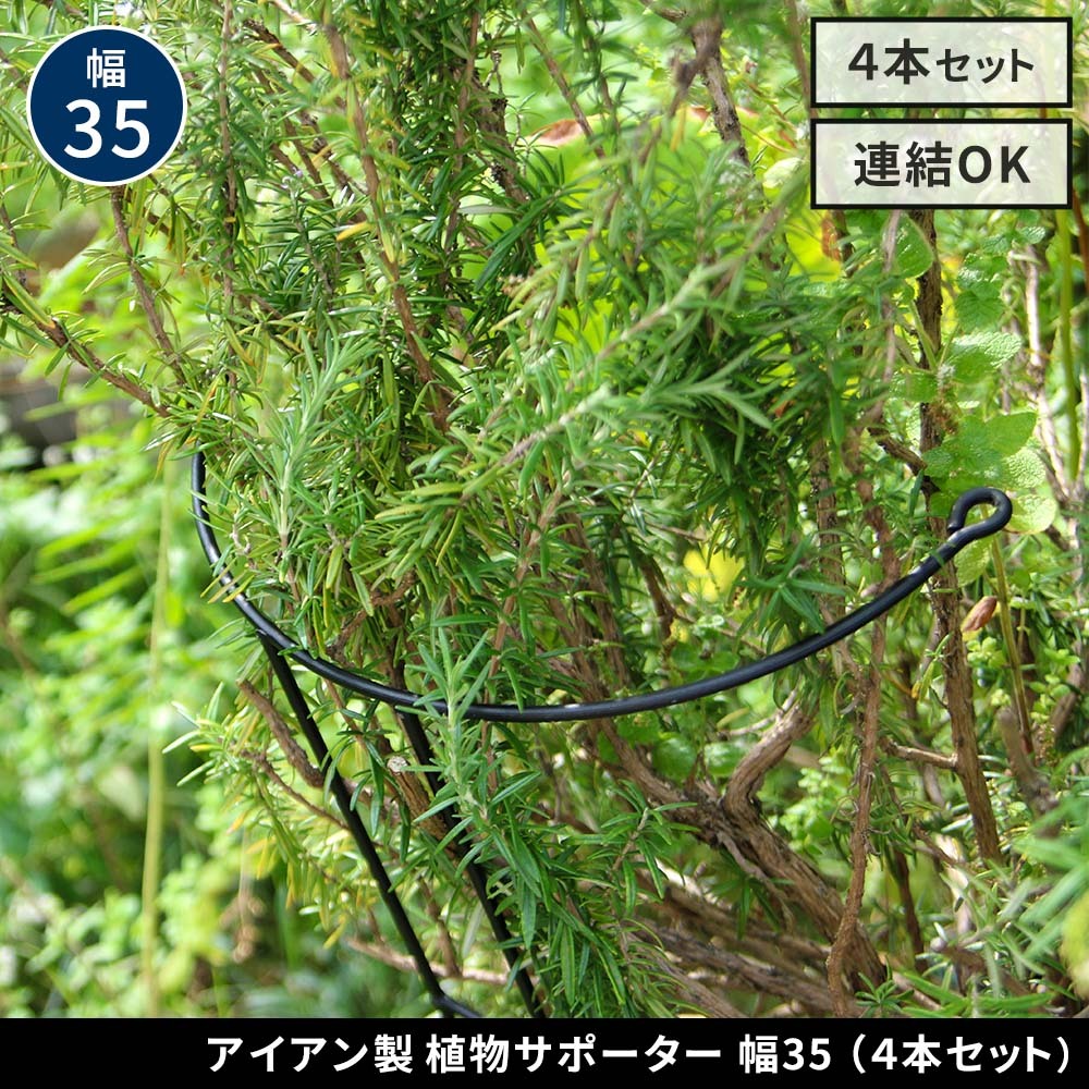 アイアン製植物サポーター 幅35 4本セット IF-N0048-4P奥行18 高さ65 ハーフリング 倒れ防止 広がり抑制 スチール 鉄製 支柱 園芸 植物サポート フラワーサポート 菜園 花壇