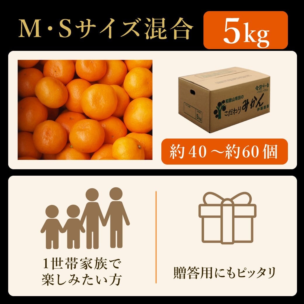 みかん 5kg 贈答用 秀品 特選 送料無料 和歌山 S M 小粒 中粒 手詰め 有田みかん 温州みかん 約40個～60個入ります ご当地 お出産内祝い 贈答 ギフト 誕生日 結婚祝い 出産祝い 内祝い ギフト