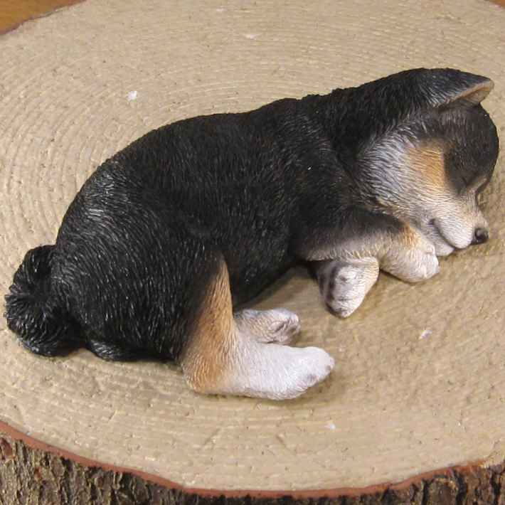 柴犬　置物 リアル　黒柴　お昼寝中　いぬ　動物オブジェ　ガーデン　オーナメント　店舗　カウンター　装飾　オブジェ　インテリア　玄関先　庭　犬好きさん人気ギフト　動物人気ギフト　クリスマスプレゼント　お誕生日祝い　母の日人気　父の日人気　敬老の日人気