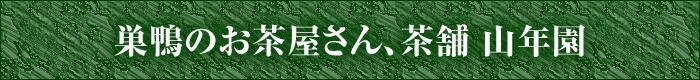 【国産100%】すっぽんの粒 60粒 カプセルタイプ 国産 すっぽん スッポン サプリメント 錠剤 サプリ すっぽん粉末 ビタミン ミネラル コラーゲン セット ギフト プレゼント 敬老の日 プチギフト お茶 2026 内祝い お返し