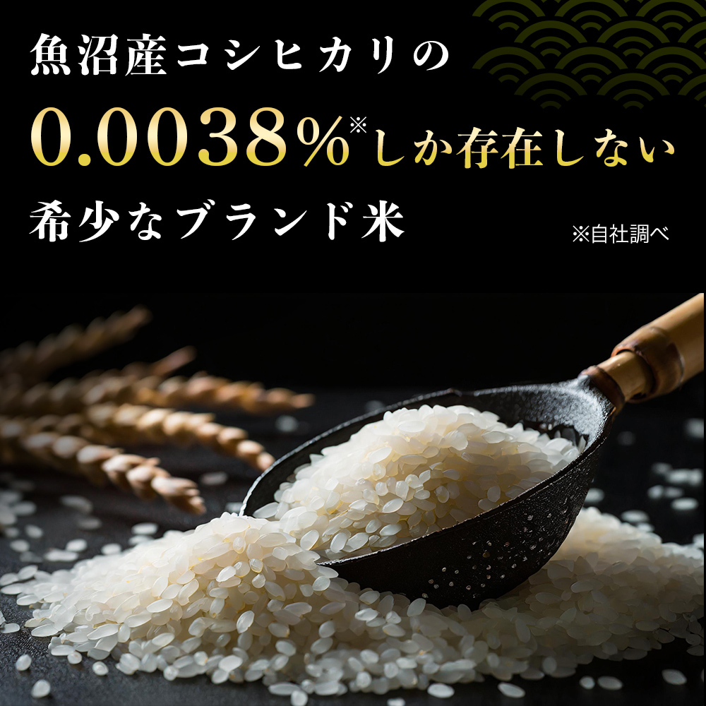 令和8年産 新米 魚沼産コシヒカリ 2kg 贈答用 風呂敷包み 最高級 最高金賞 金賞受賞 「雪椿」 ブランド米 ミシュラン店御用達 贈答用 新潟県産 令和6年産 最高級米 特別栽培米 お米 ギフト 内祝い 御歳暮 結婚内祝い 御誕生日御祝 新築祝い 法事 のし 熨斗対応 希少米