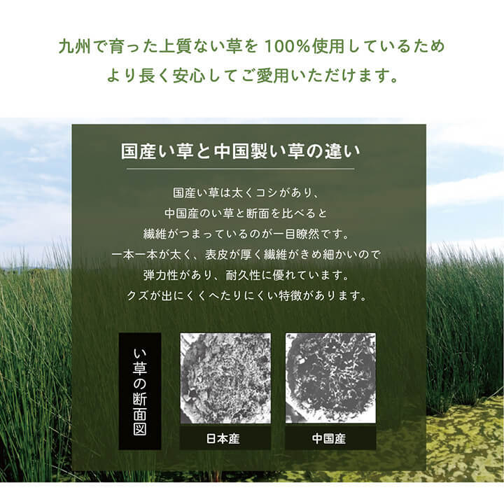 枕 まくら い草 高さが調整できる さらさら 消臭 シンプル 無地 平枕 約50×30cm さらさらい草まくら ピロー 枕寝具 寝具用品 寝室用 寝室用品 インテリア 汚れにくい 低反発 吸湿 ナチュラル グリーン ブルー