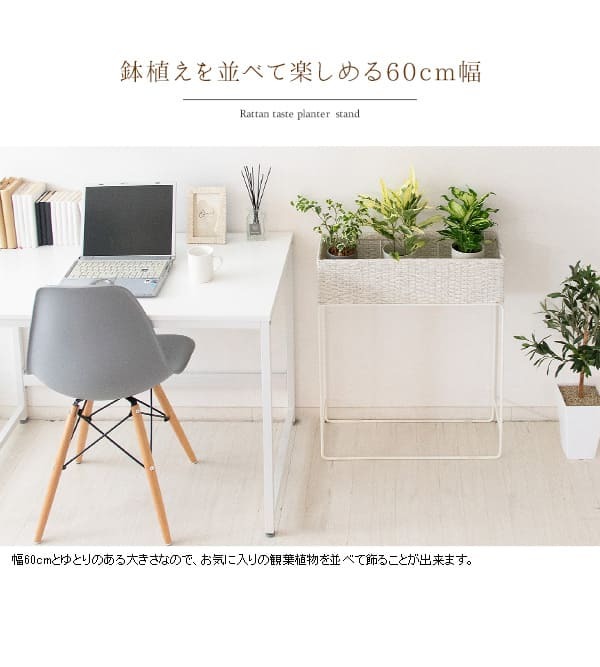 ガーデン エクステリア フラワースタンド 室内 白 プランタースタンド ラタン 玄関 幅60 花台 籐 高さ70 プランター ハイ スリム 1段 おしゃれ 高め アイアン モダン インテリア スチール 北欧 室内用 玄関先 玄関前 玄関ホール 多肉 家具