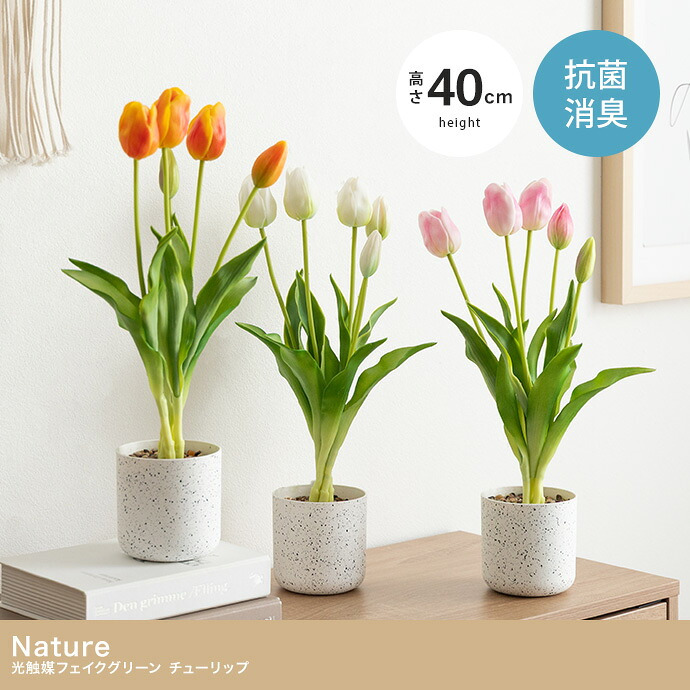 【高さ40cm】光触媒人工観葉植物 チューリップ 幅18cm×奥行18cm×高さ40cm お部屋に気軽に飾れて空間を美しく彩るフェイクグリーン 本物の生花のようなリアルな質感とインテリアに馴染む風合いが魅力です ホワイト ピンク オレンジ