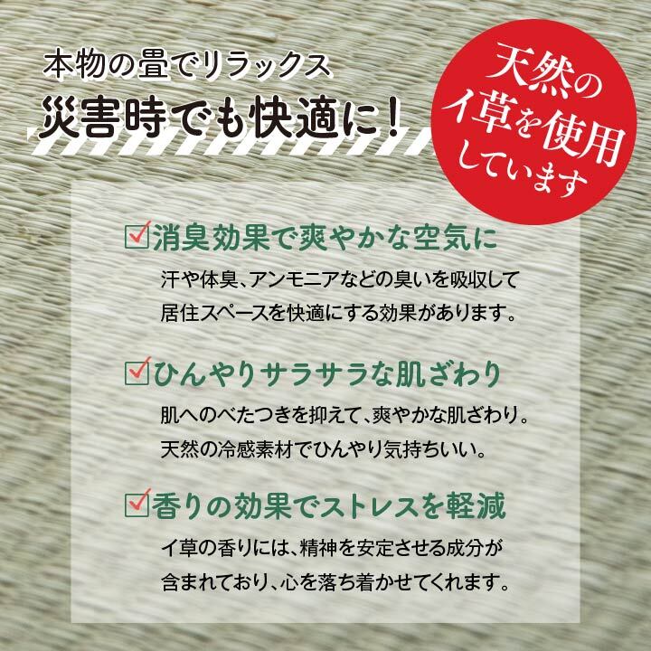 ベッド 寝具 防災 避難 備え ユニット 畳 段ボール シングル 約100×200cm 5連
