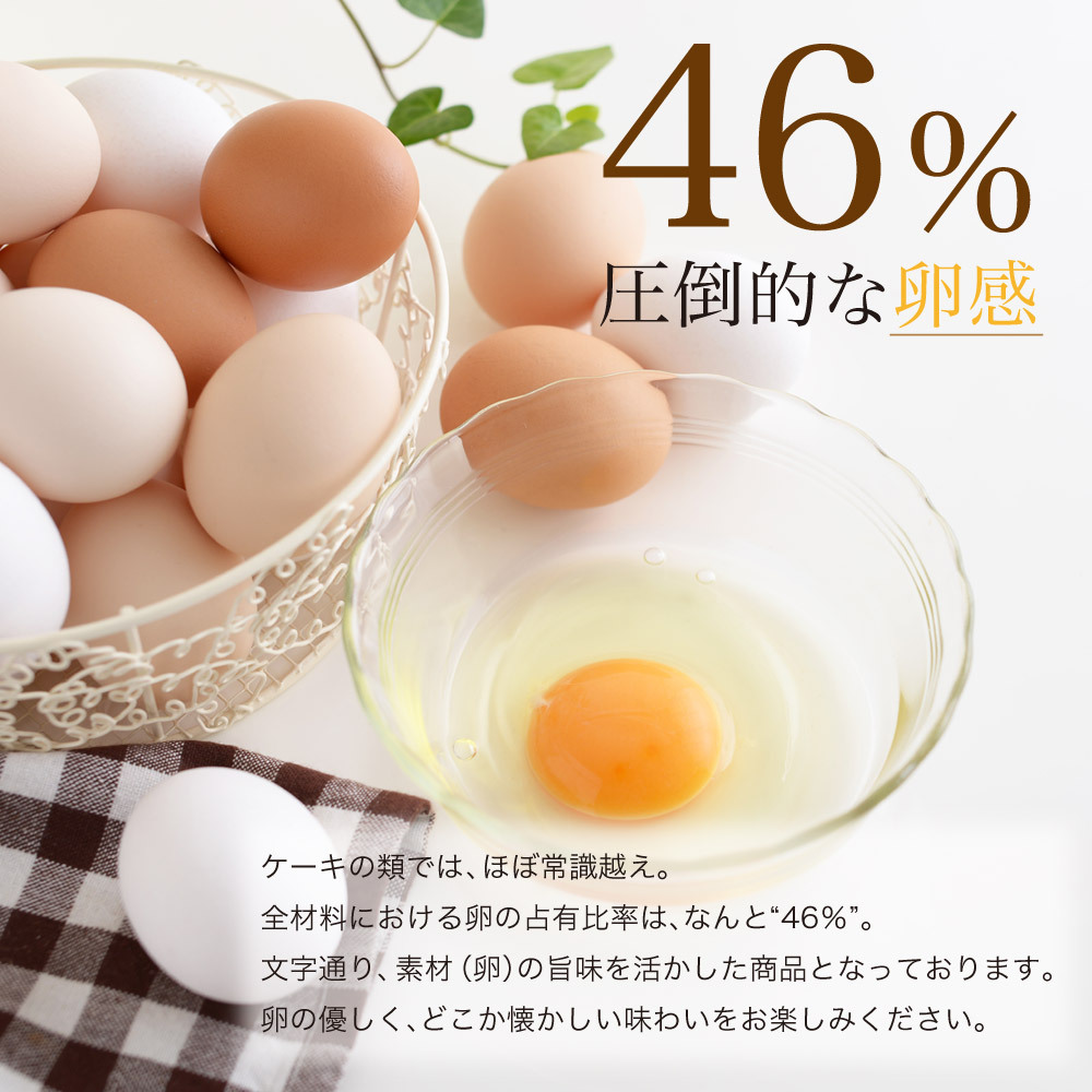 【完熟カステラケーキ】ギフト ハニープレーン味とチョコレート味の2種 卵たっぷり プリンのようなしっとりなめらか シフォンケーキ おいしい お菓子 ギフト デザート【送料無料※一部地域を除く】