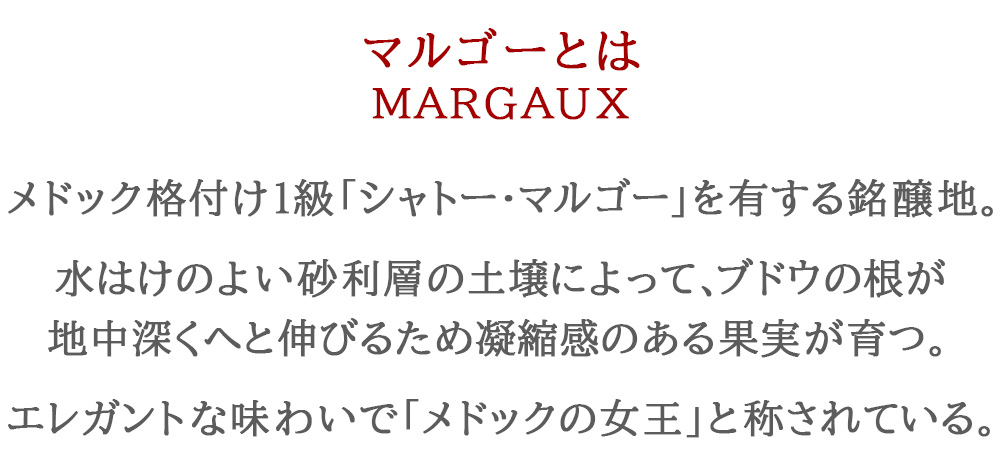 ワインギフト フランス ボルドーワイン BORDEAUX 赤ワイン マルゴー 2019年 辛口  750ml カベルネ・ソーヴィニヨン メルロー プレゼント 誕生日 結婚祝い お返し 内祝い のし対応 熨斗 送料無料