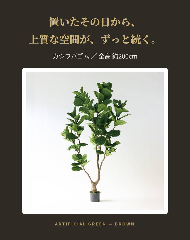 観葉植物 造花 カシワバゴム BROWN 全高約200cm 大型 曲がり幹 フェイクグリーン 高級 本物そっくり リアル おしゃれ インテリア 人工観葉植物 アーティフィシャルグリーン シンボルツリー オフィス 店舗 ホテル 開店祝い 室内 リビング 玄関 風水 ゴムの木