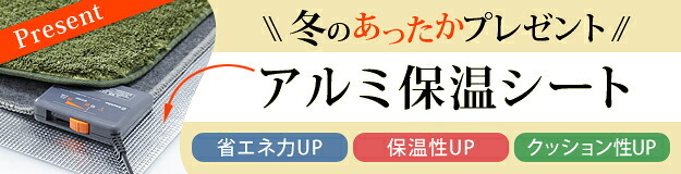 ホットカーペット カバー 防水 木目調ホットカーペット・カバー-ウッディ 3畳用(250x198) ホットカーペット本体 2点セット ラグ リビングマット フローリング調 クッション性 抗菌 防カビ 防汚 防水 日本製 床暖房対応 ペット 子供 あったか