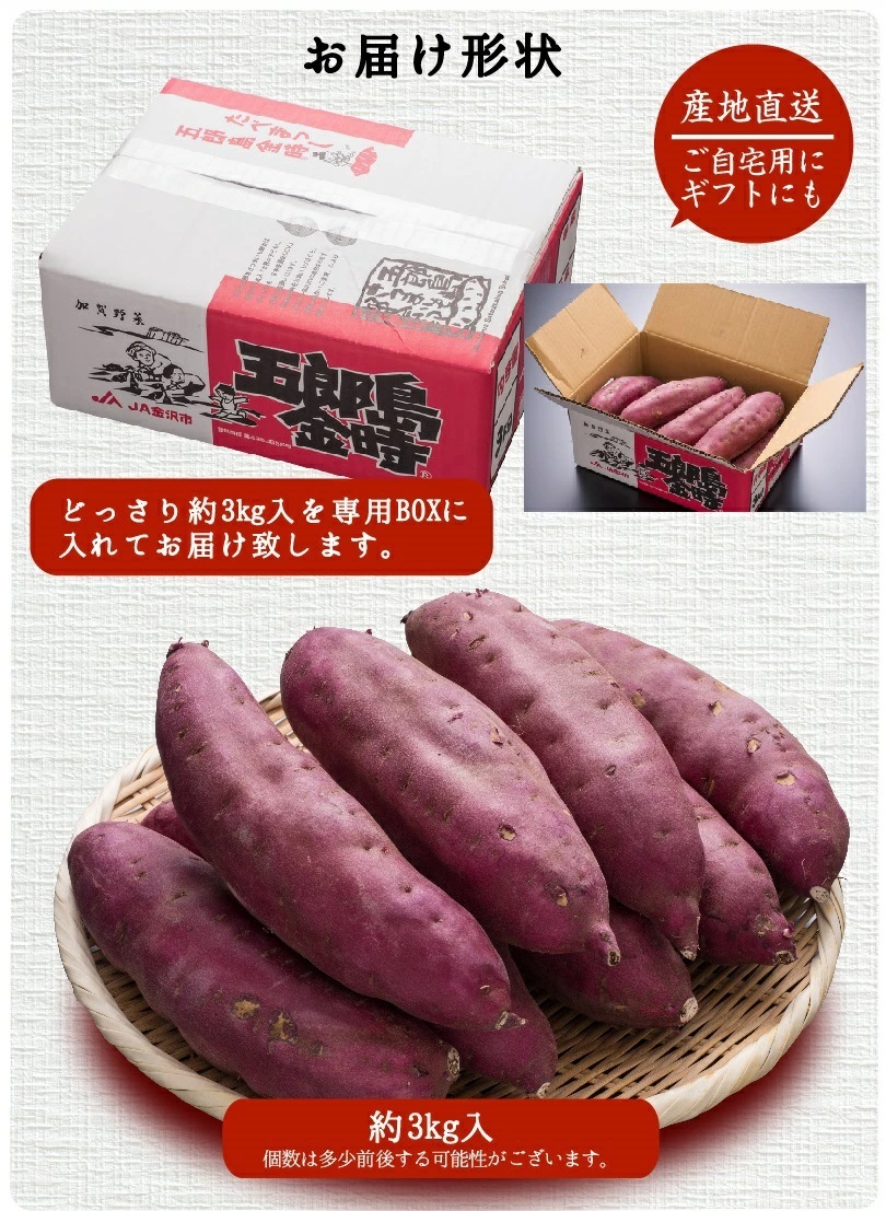 五郎島金時 Mサイズ 3kg さつま芋  石川県産 