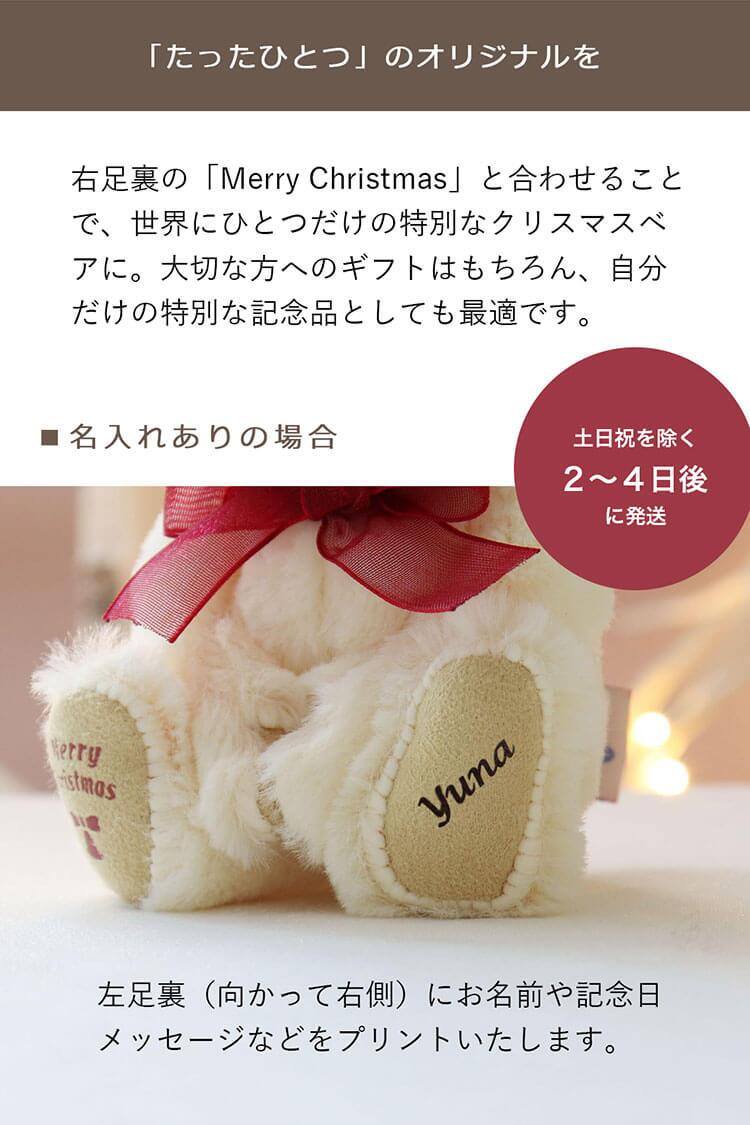 クリスマスプレゼント 彼女 女性 《X'mas限定モデル》【ふわふわベア キーホルダー 】 アクセサリー イヤーカフ マスコット 女の子 おしゃれ イヤリング キーチェーン くま 可愛い 名入れ 娘 孫 友達 テディベア 名前 シンプル 10代 20代 サンタ 妻 ぬいぐるみ 限定 【クリスマス限定 ギフトボックス入り】 26クリスマスFUUイヤーカフ 8033700