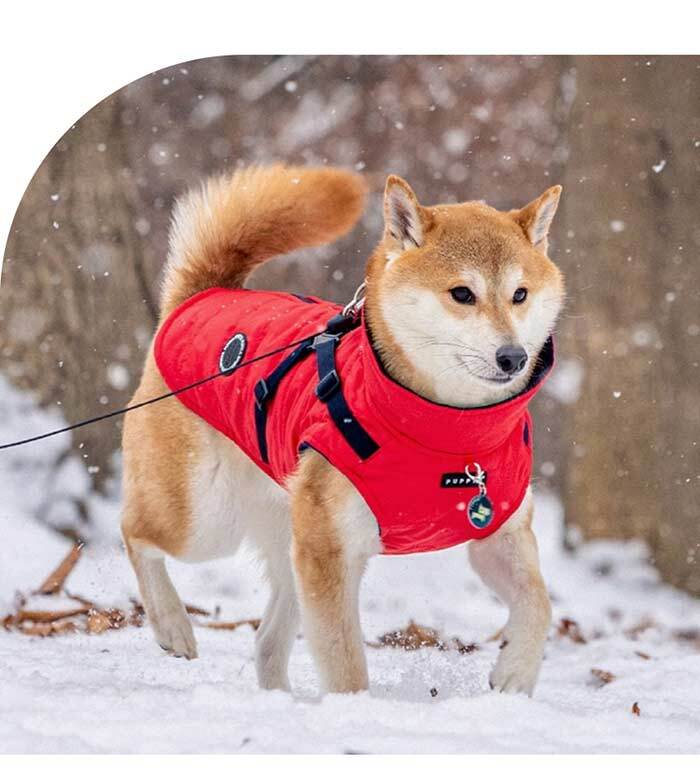犬服 冬 パピア ハーネス一体型 ジャンパー マウンテニア II 防水 防寒 暖かい PUPPIA 中綿 裏フリース 背中開き 散歩 ドッグウェア 小型犬 中型犬 S M L XL XXL チワワ トイプードル ダックス 柴犬
