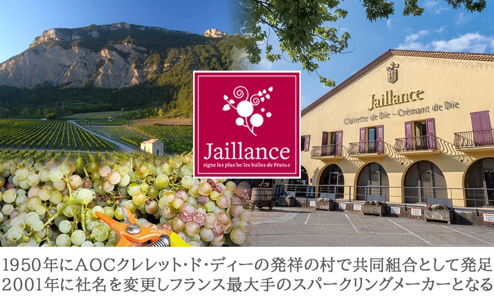敬老の日 祖母 祖父 やや甘口 スパークリングワイン ギフト 375ml ハーフボトル フランス ローヌ クレレット・ド・ディー 白 ワインギフト ワインセット お祝い お礼 お返し 内祝い 誕生日 結婚祝い 就職祝い 女性 おばあちゃん おじいちゃん 70代 80代 90代 送料無料