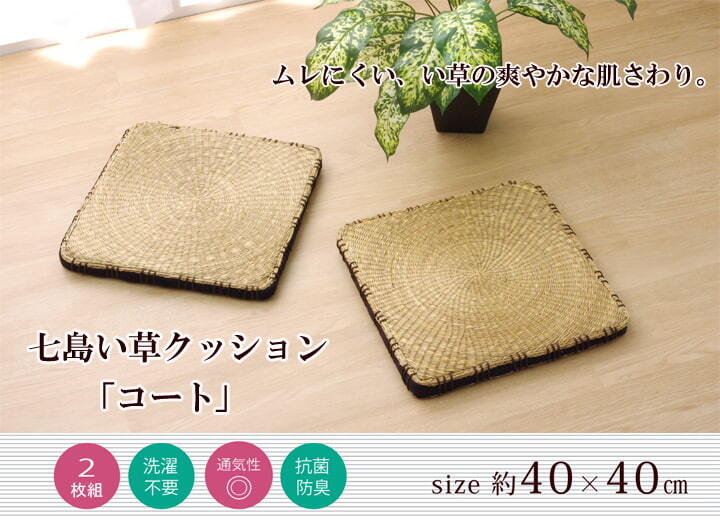 クッション 七島クッション 七島藺草 シート 『コート マチ付』 約40×40cm 2枚組